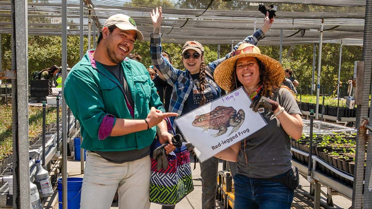 Staff at the Presidio Nurseries