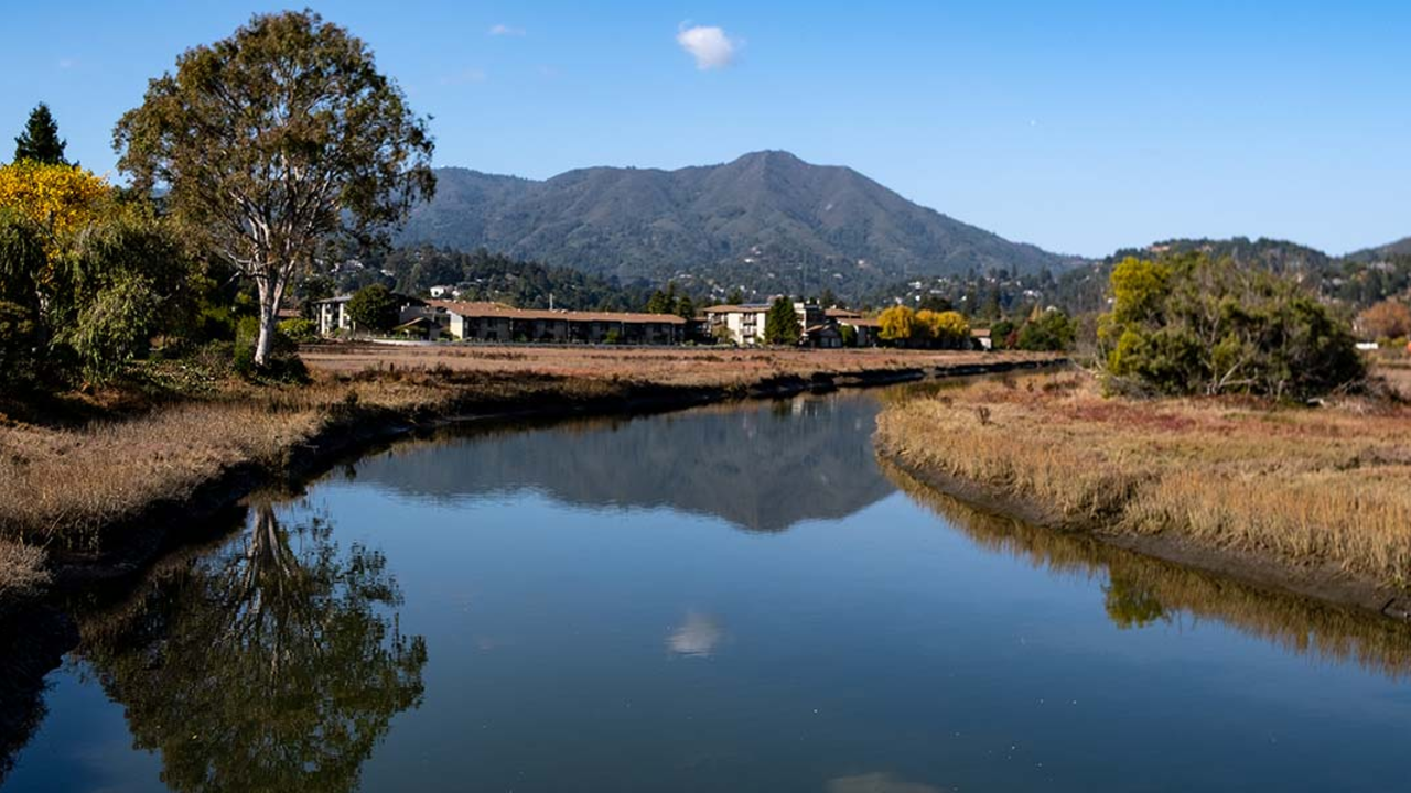 View of Bothin Marsh in Marin County.