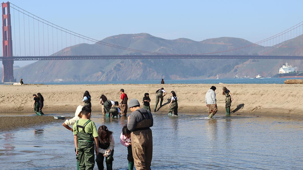 Youth program participants at the Crissy Marsh at Crissy Field.