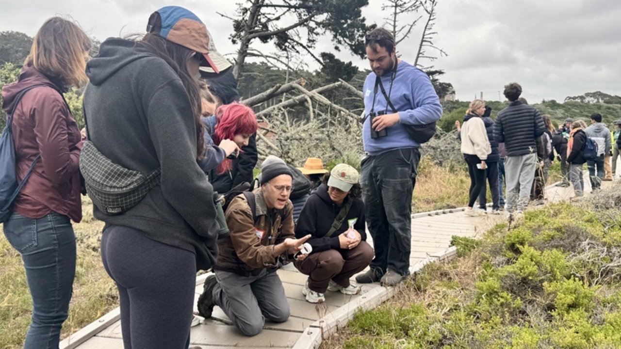 Observing nature at a City Nature Challenge event at Lobos Creek in the Presidio.