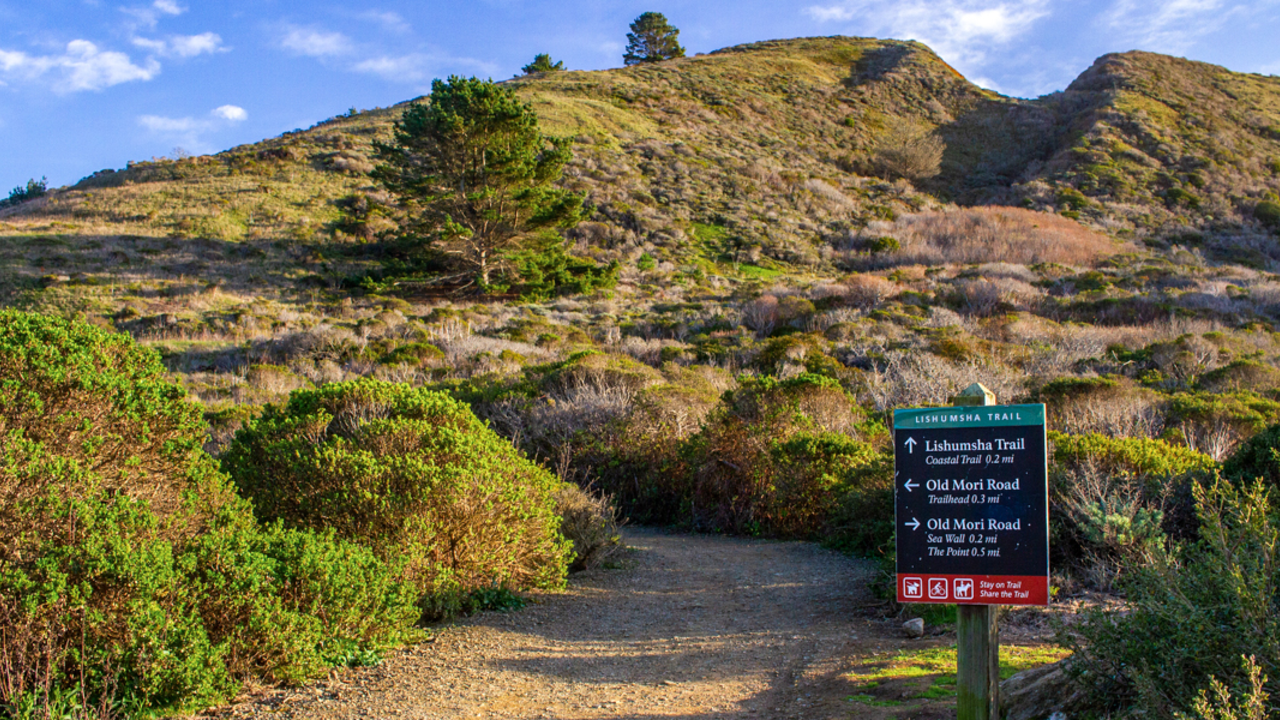 A verdant view of the Lishumsha Trail at Mori Point. The trail looks to lead up the large hill at Mori Point. The trailhead sign signals directions for the trail, as well as Old Mori Road.