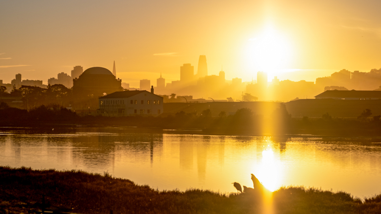 A sunrise over Crissy Marsh turns the landscape golden, in view is the silhouette of the presidio and san francisco skyline.