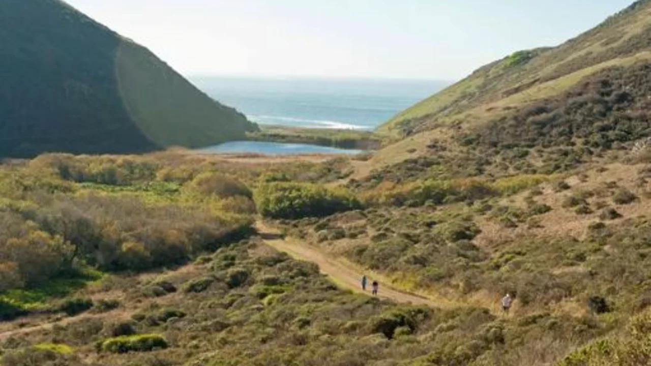 Birds-eye-view of the Tennessee Valley Trail leading to Tennessee Beach