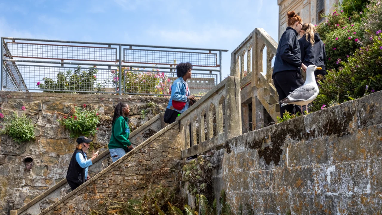 A group of people from the san francisco bay area WNBA team Golden State Valkyries ascend a weathered stone staircase beside a historic building, while a seagull perches on the wall.