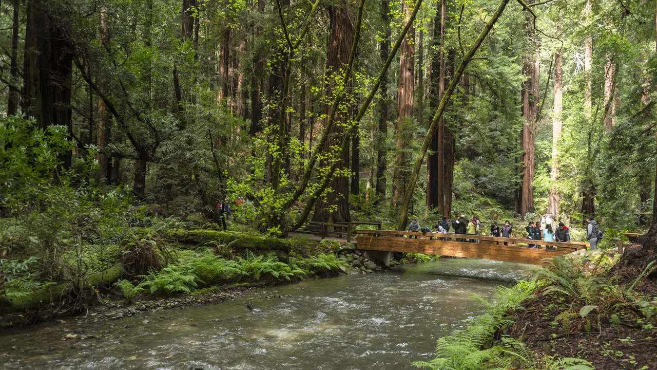 group of people crossing a wooden bridge over a creek at Muir Woods