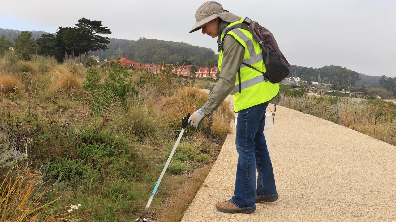 A volunteer picks up litter at Presidio Tunnel Tops