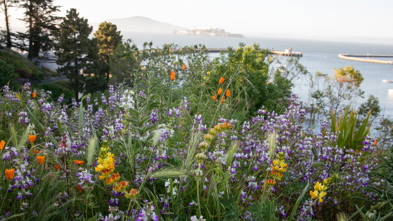 A mix of flowers in bloom at Black Point Historic Gardens