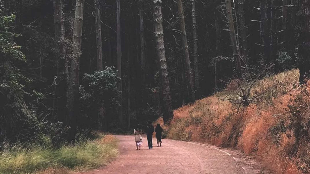 Path down to Kirby Kove