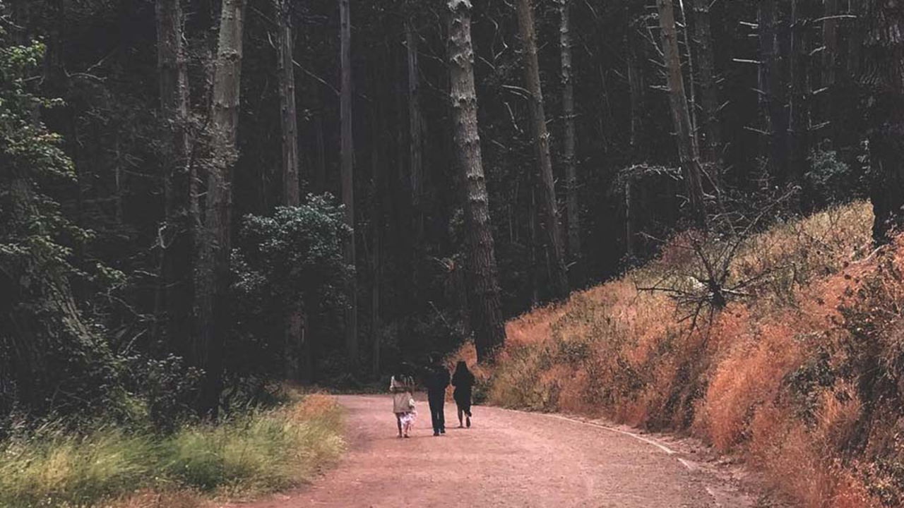 Path down to Kirby Kove