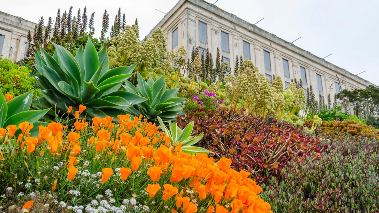 alcatraz gardens