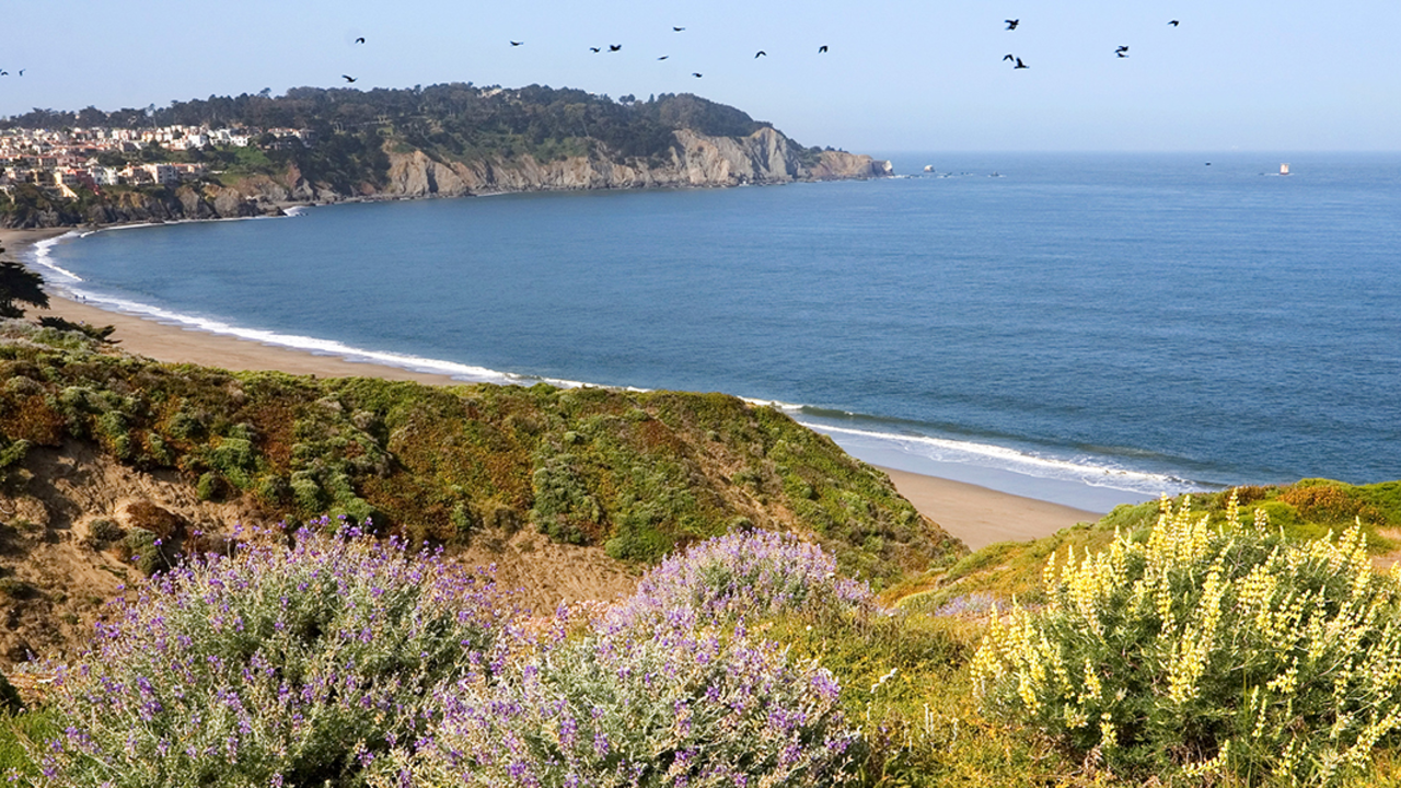 Presidio bluffs view towards the Pacific Ocean