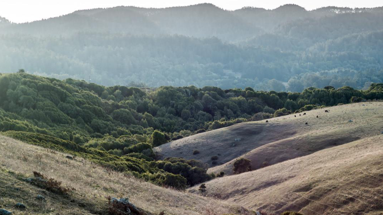 Sunset at Bolinas Ridge