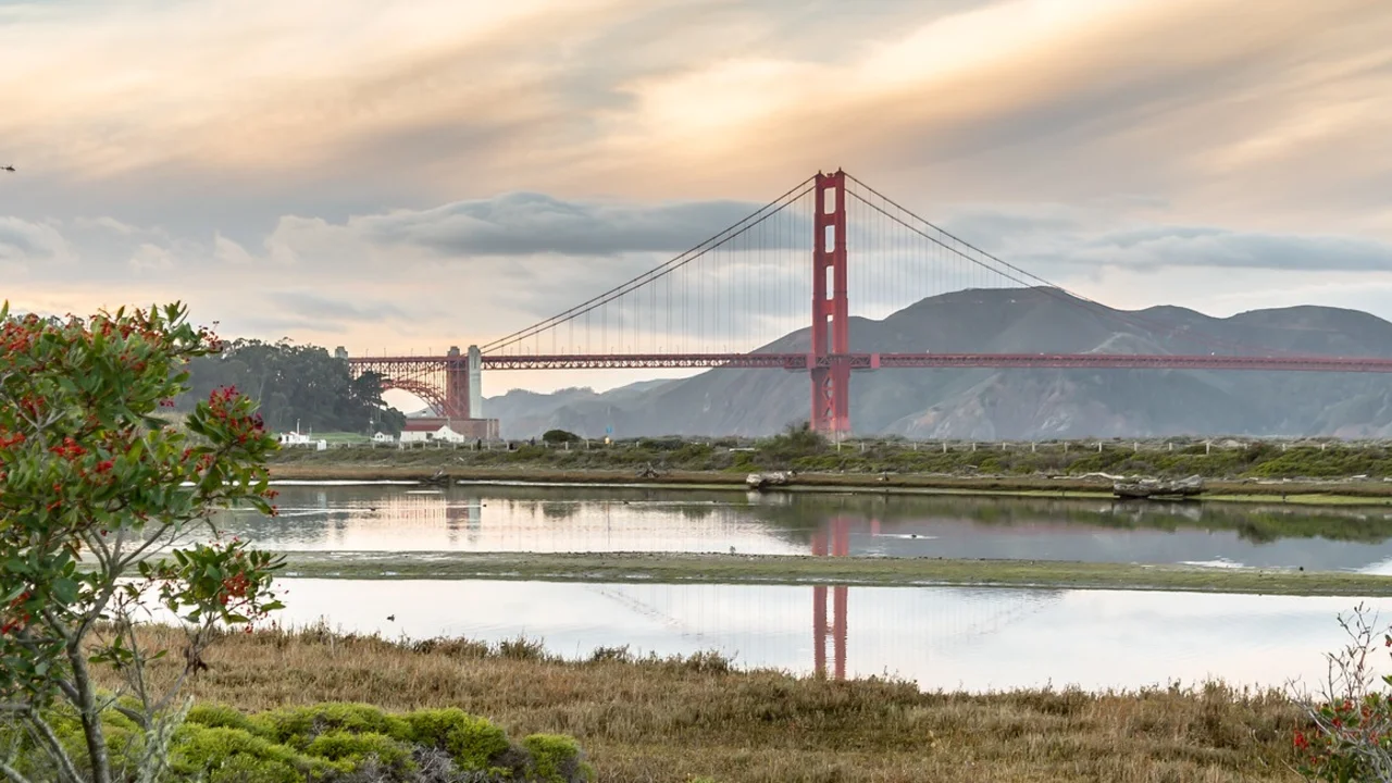 Crissy Field marsh