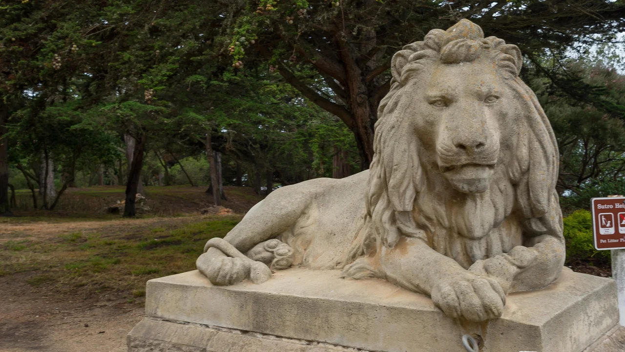 Lion statue at Sutro Heights Park