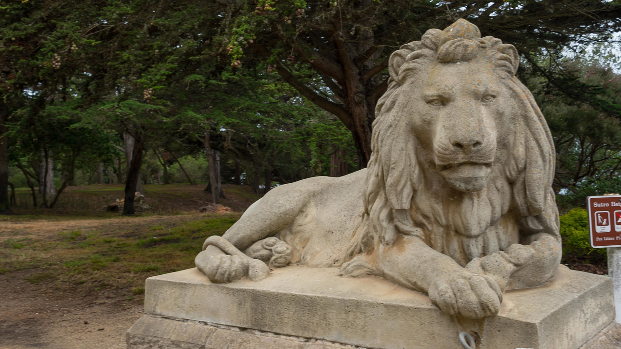 Lion statue at Sutro Heights Park