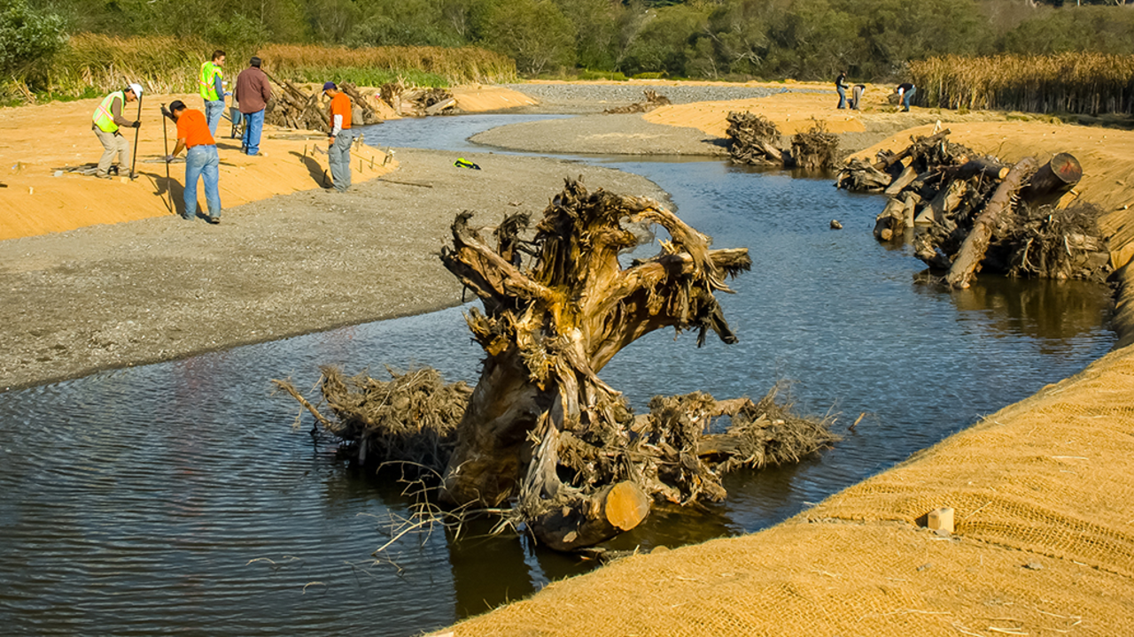 Redwood Creek restoration. 