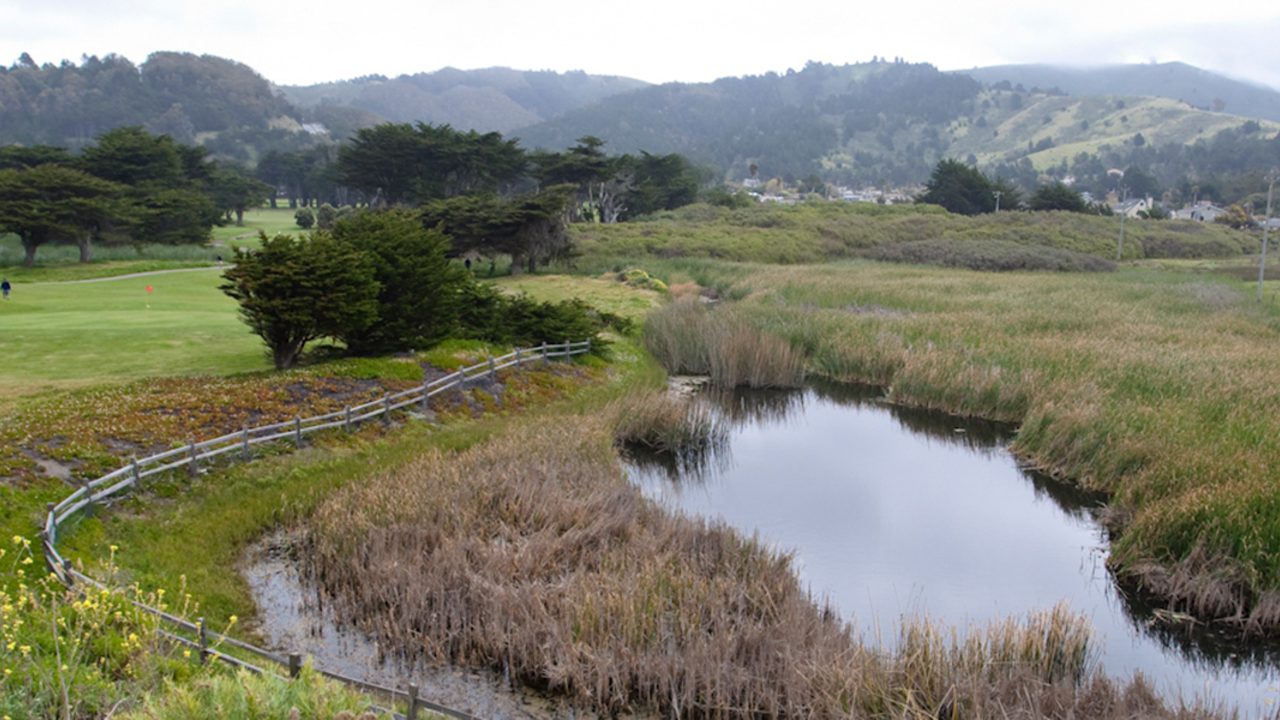 Mori Point