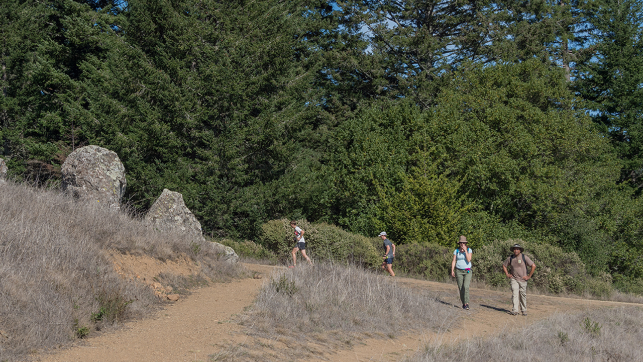 Old Mine Trail