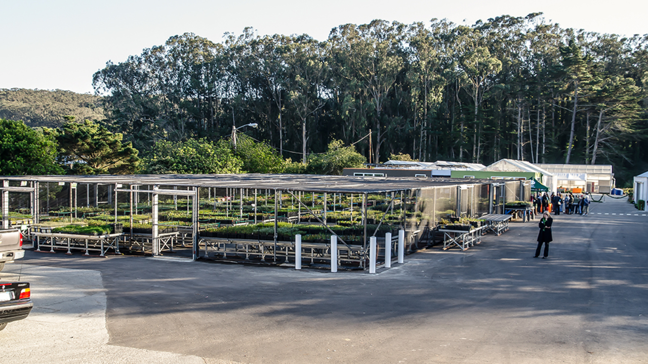 Presidio Native Plant Nursery