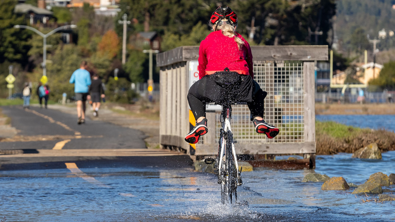 A bicyclist rides through water during a royal tide along the Bay Trail near Bothin Marsh in Marin County. A bicyclist rides through water along a pedestrian path in Marin County.