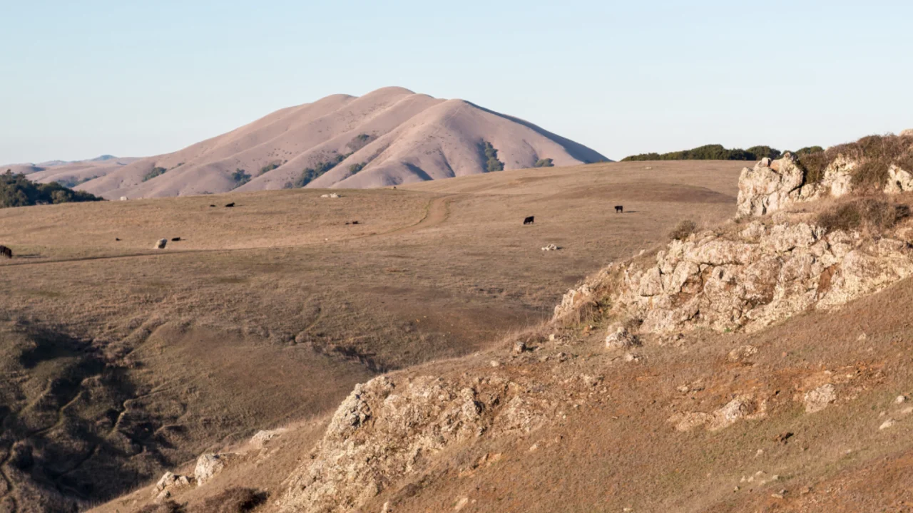 Bolinas Ridge 