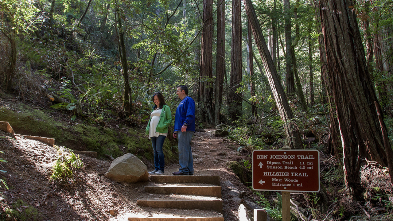 Ben Johnson Trail, Muir Woods