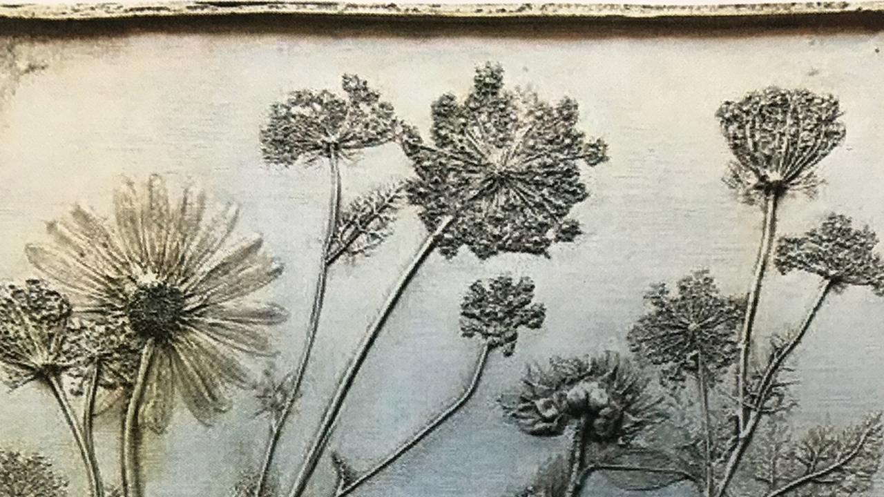 Sample of a botanical impression