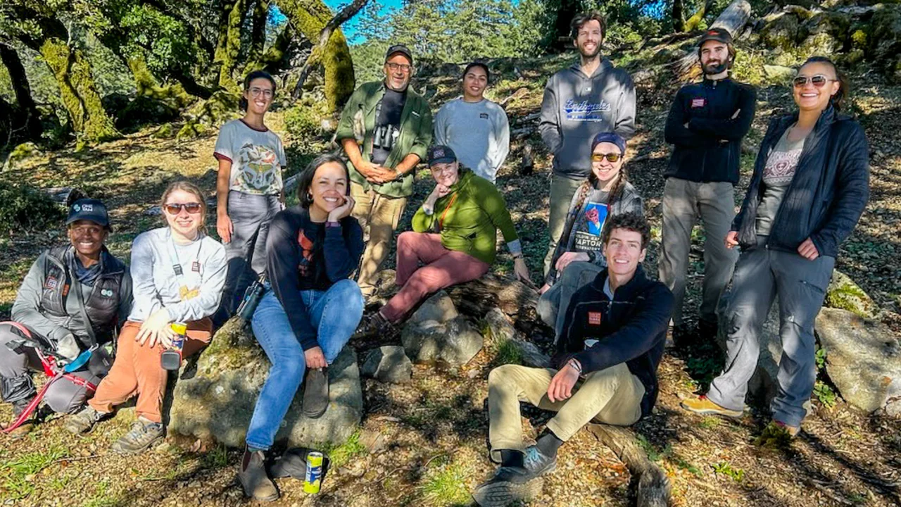 Interns, Fellows and Staff from the Community Science and Conservation team collecting data on Mount Tam