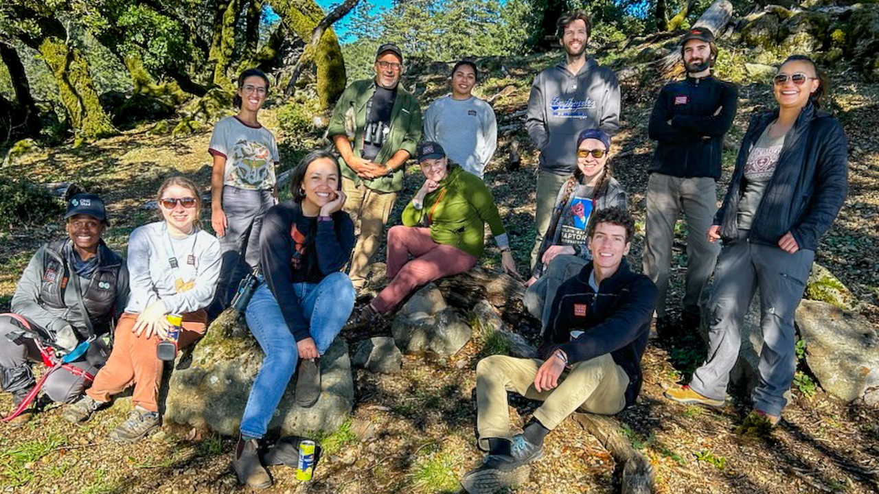 Interns, Fellows and Staff from the Community Science and Conservation team collecting data on Mount Tam