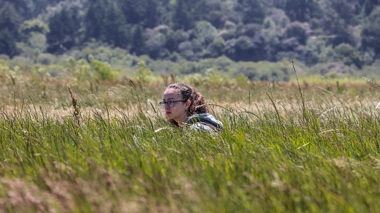 Youth photographers' images from Crissy Field Center programs during the summer of 2018.