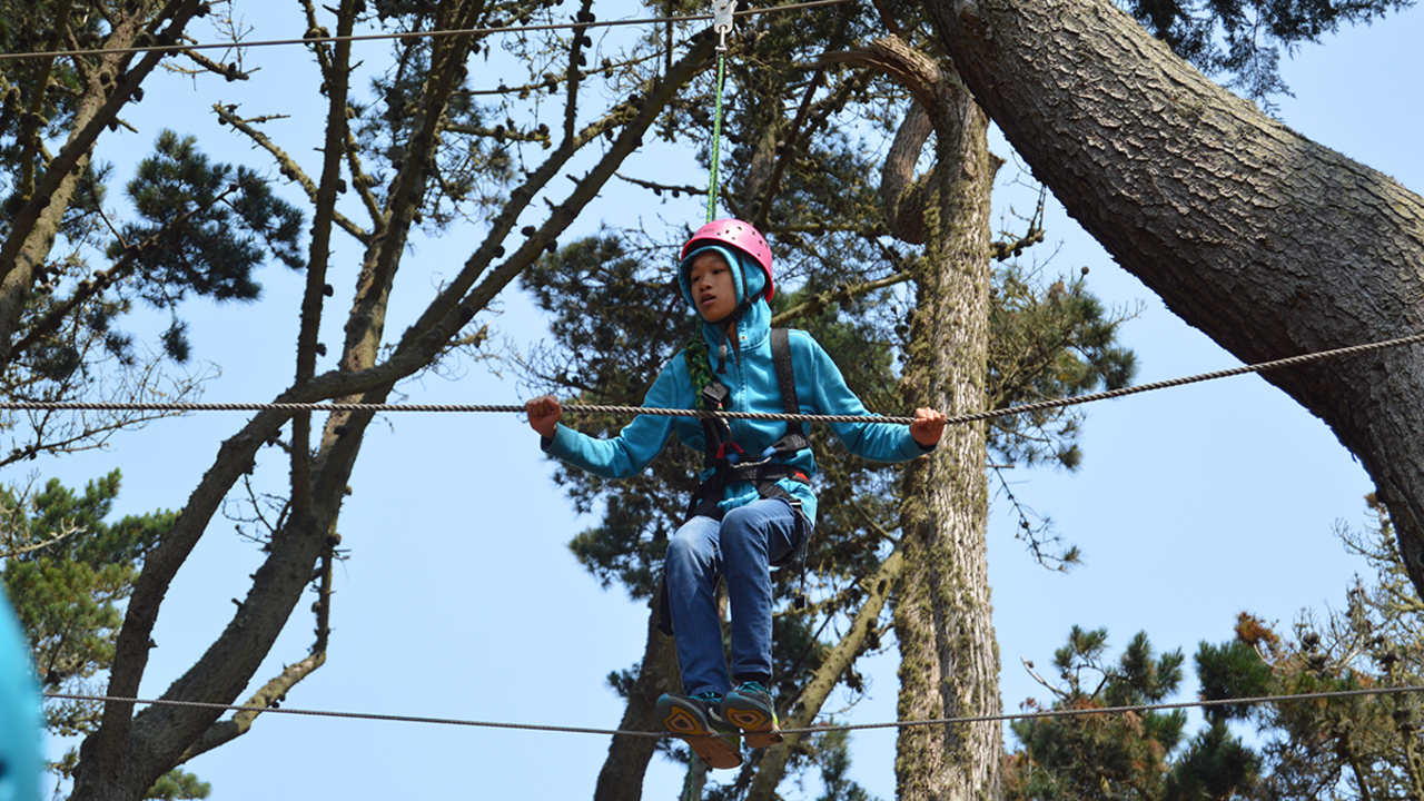 Youth photographers' images from Crissy Field Center programs during the summer of 2018.