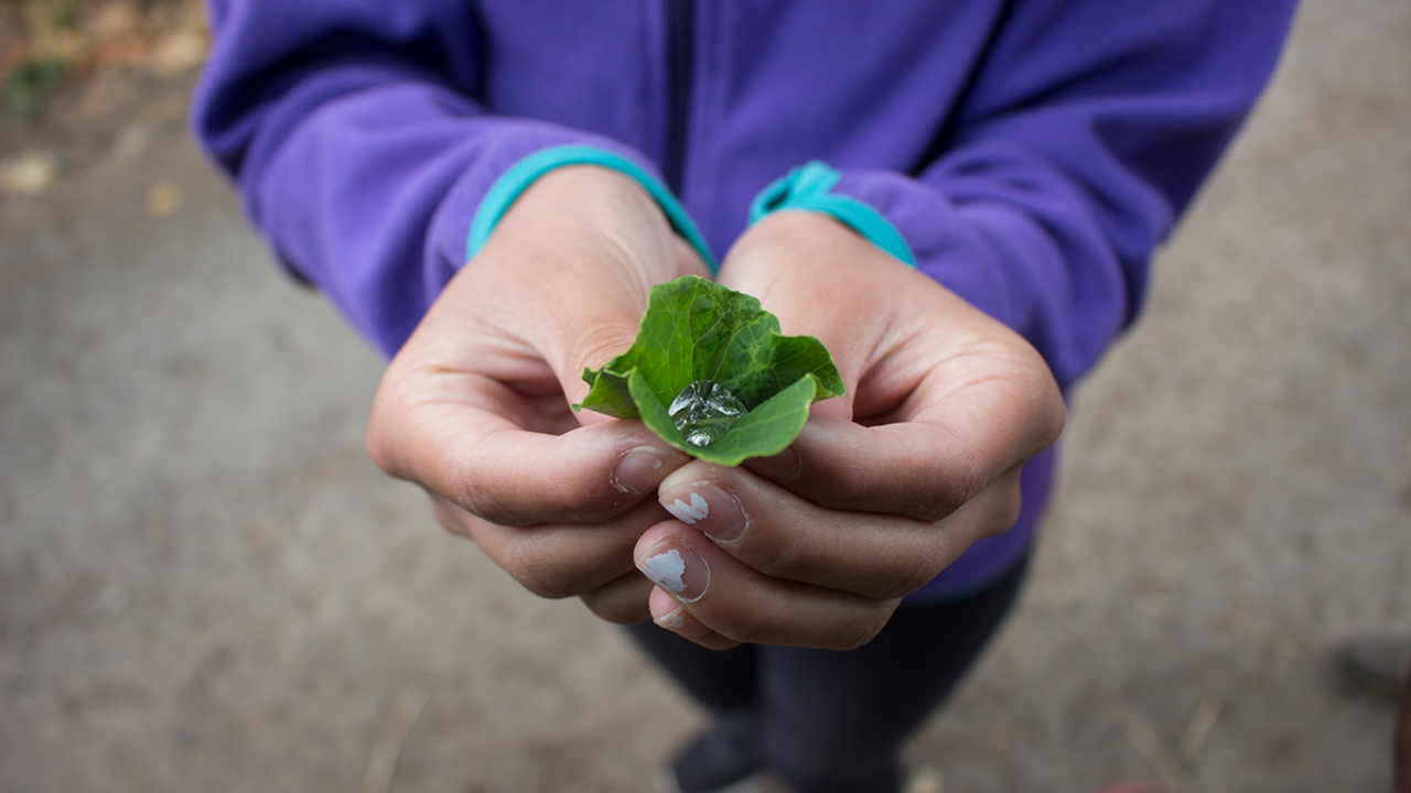 Youth photographers' images from Crissy Field Center programs during the summer of 2018.