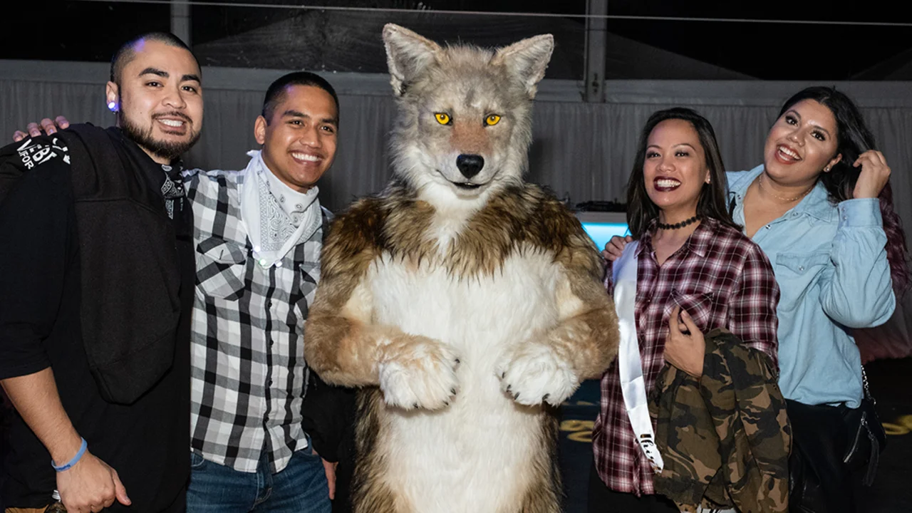 NightHowl 2018