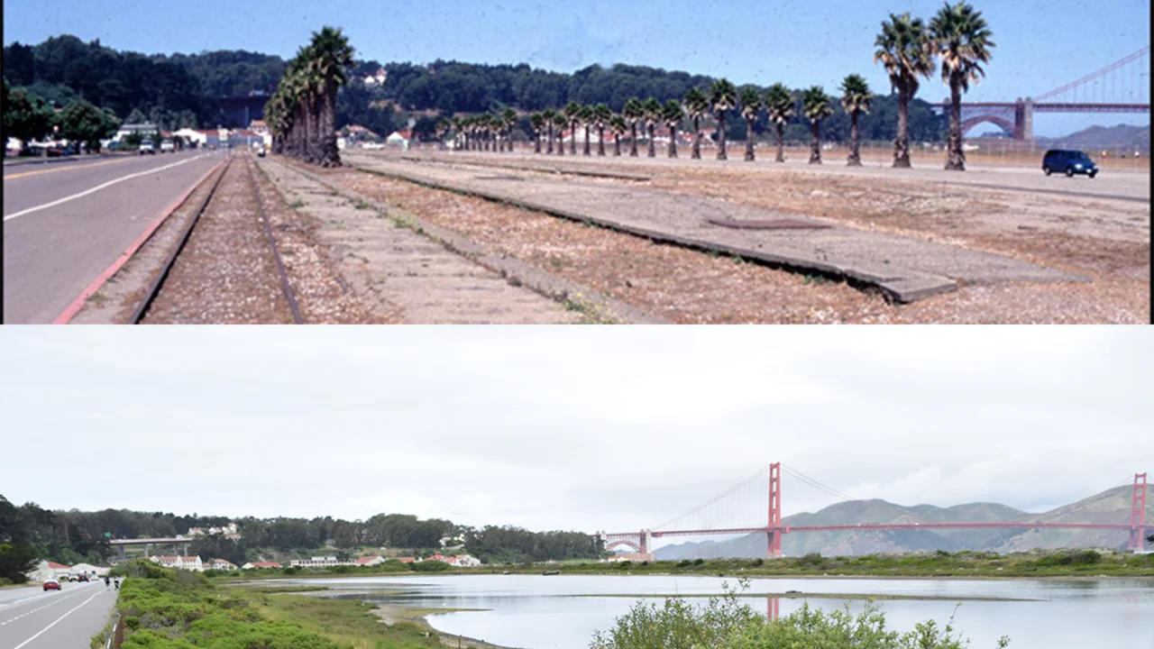 Crissy Field before and after restoration