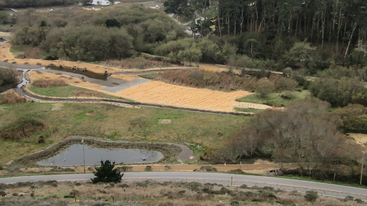Jute fabric stabilizes soil