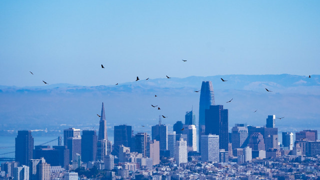 Kettle of Raptors Over San Francisco Skyline