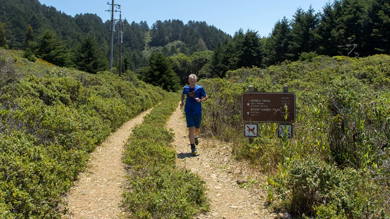 Dipsea trail (Mount Tamalpais)