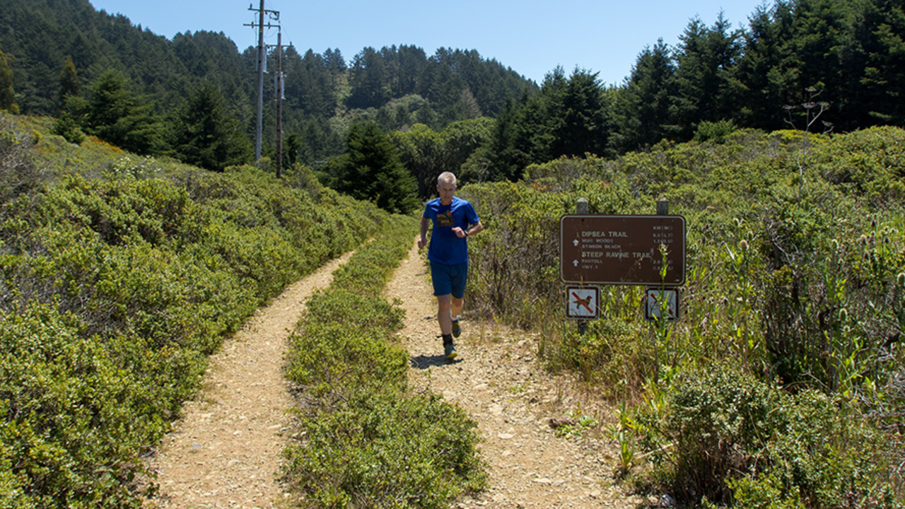 Dipsea_150612_KW-2037-X4_2x1.jpg Dipsea trail (Mount Tamalpais)