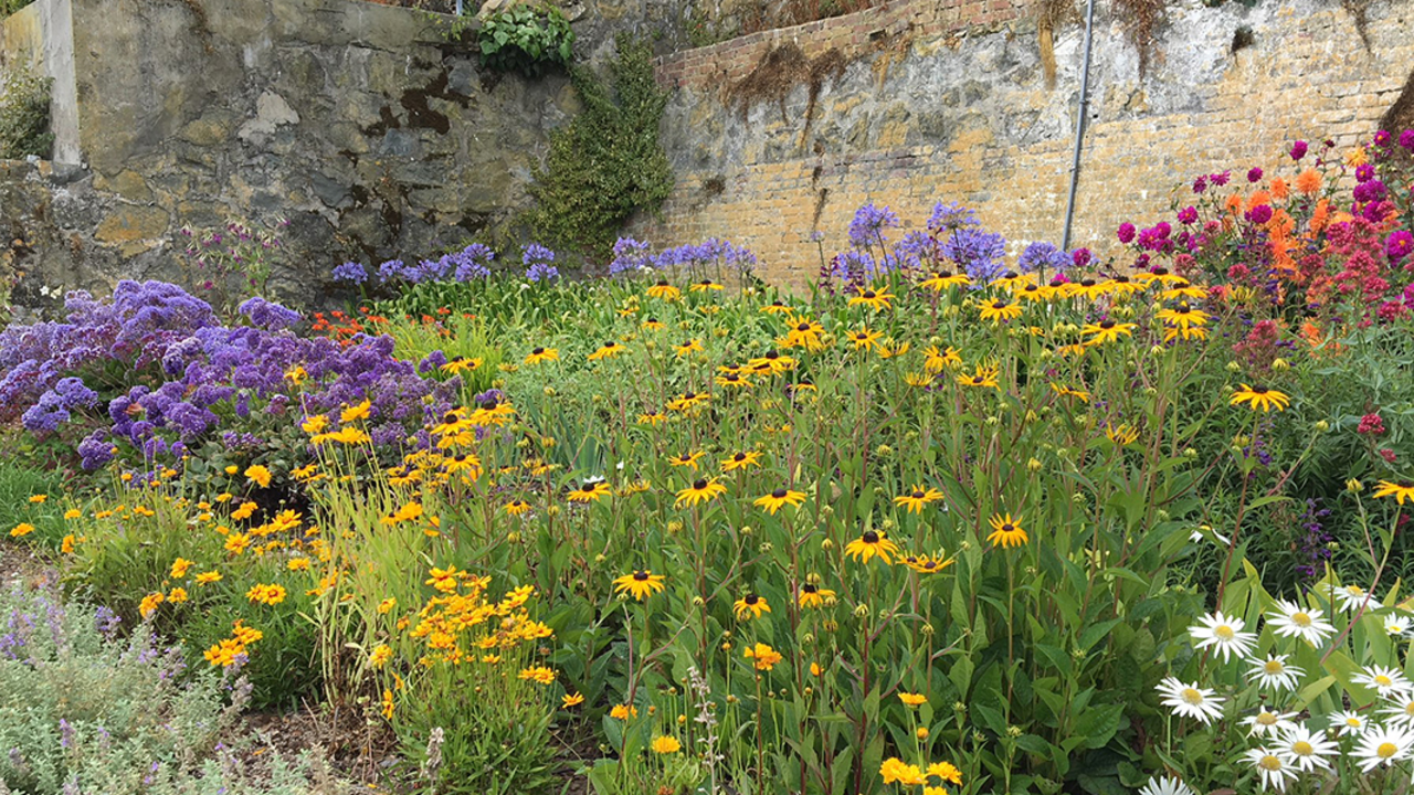 AZ Gardens, Drought Tolerant Gardens Tour
