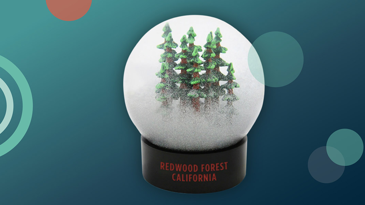 A fog globe with redwood trees