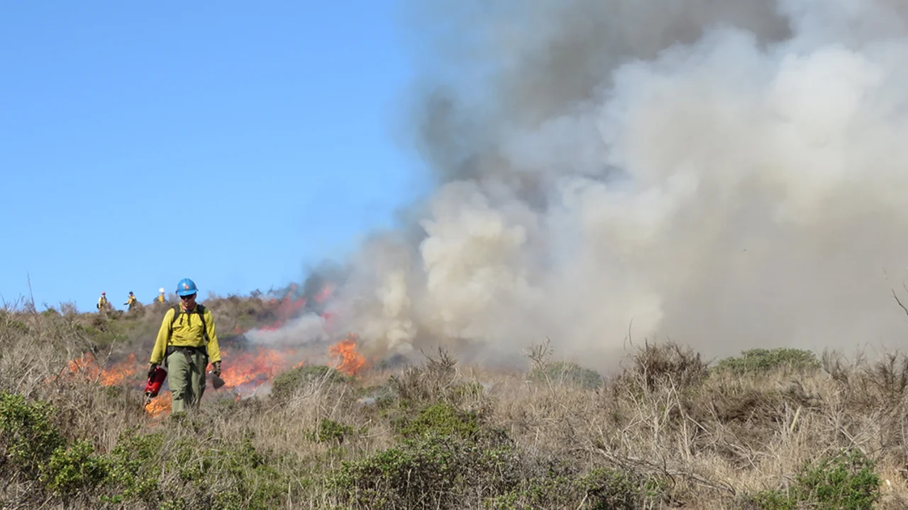 A fireman walks away from a controlled burn.
