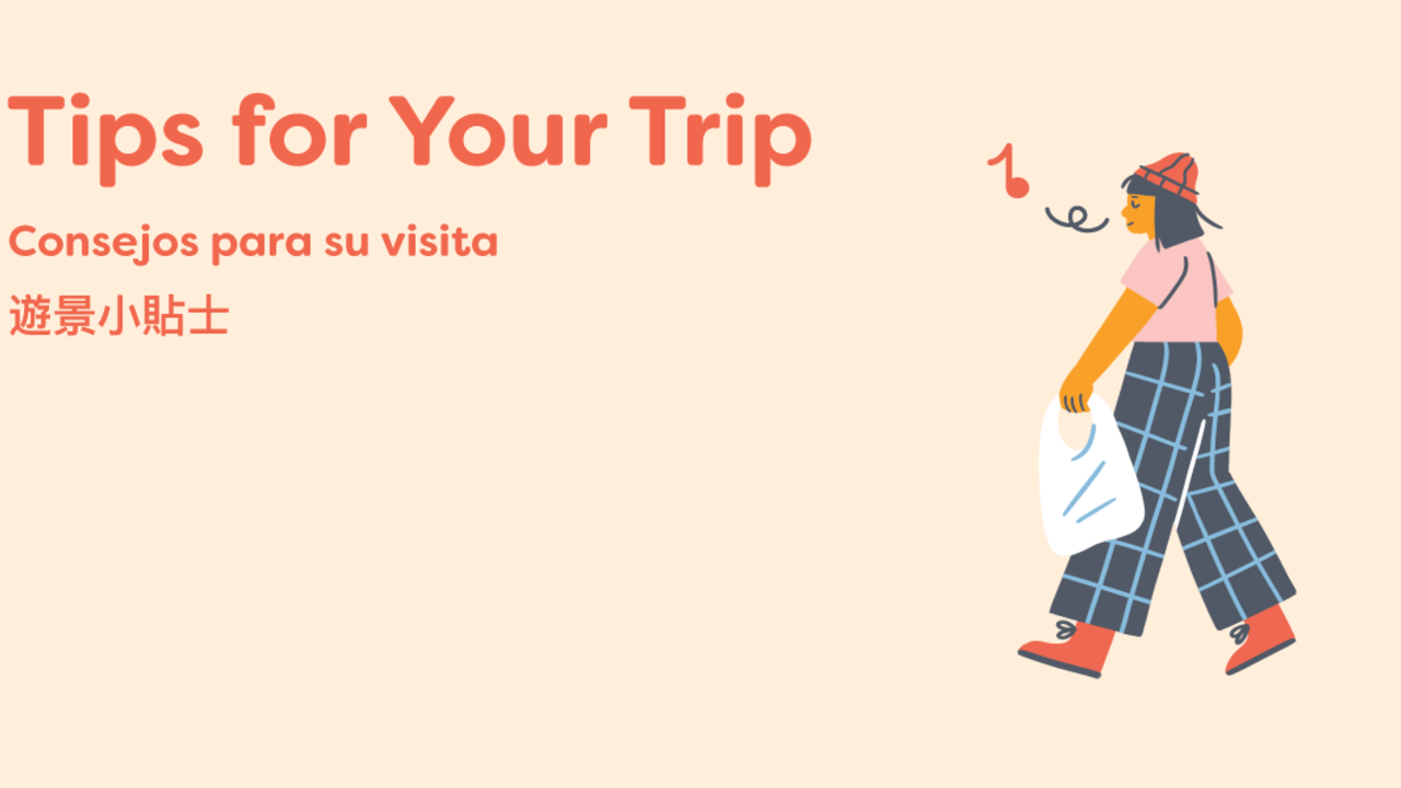 Graphic saying "Tips for Your Trip"