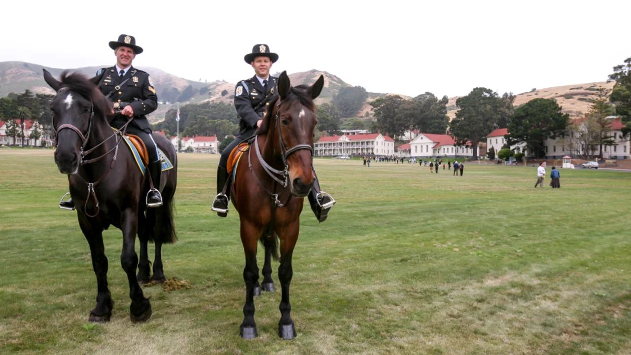 Policemen atop horses 