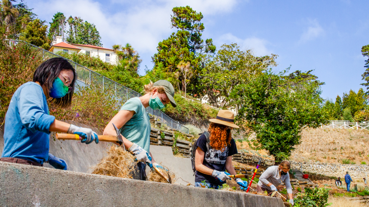 Volunteers are at work in an expansive garden.