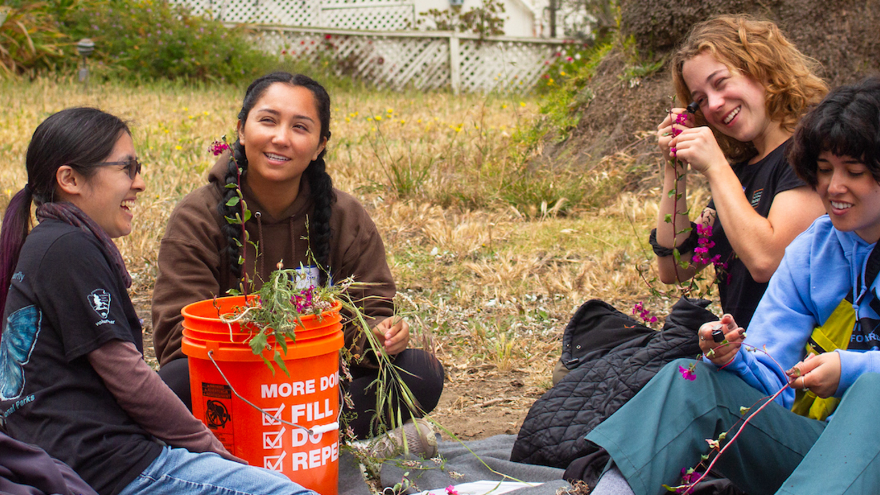 A group of interns identifying various native plant species