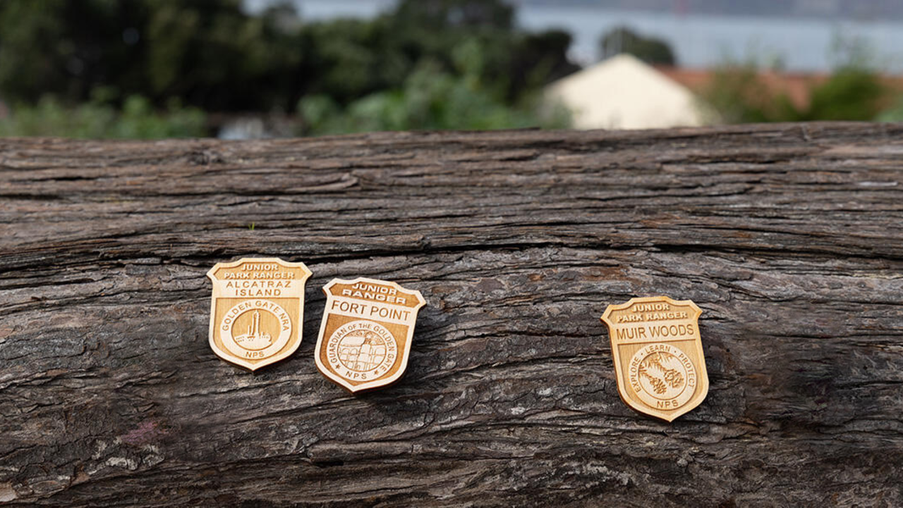 Junior ranger badges that can be earned in the GGNRA. 5 light-wood junior ranger badges are seen sitting on a log.