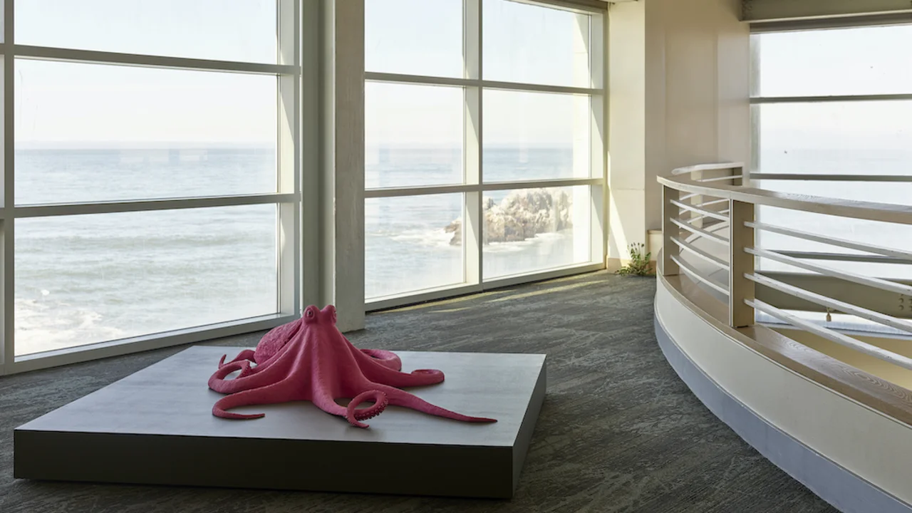 A new art exhibition from the FOR-SITE Foundation, "Lands End." 