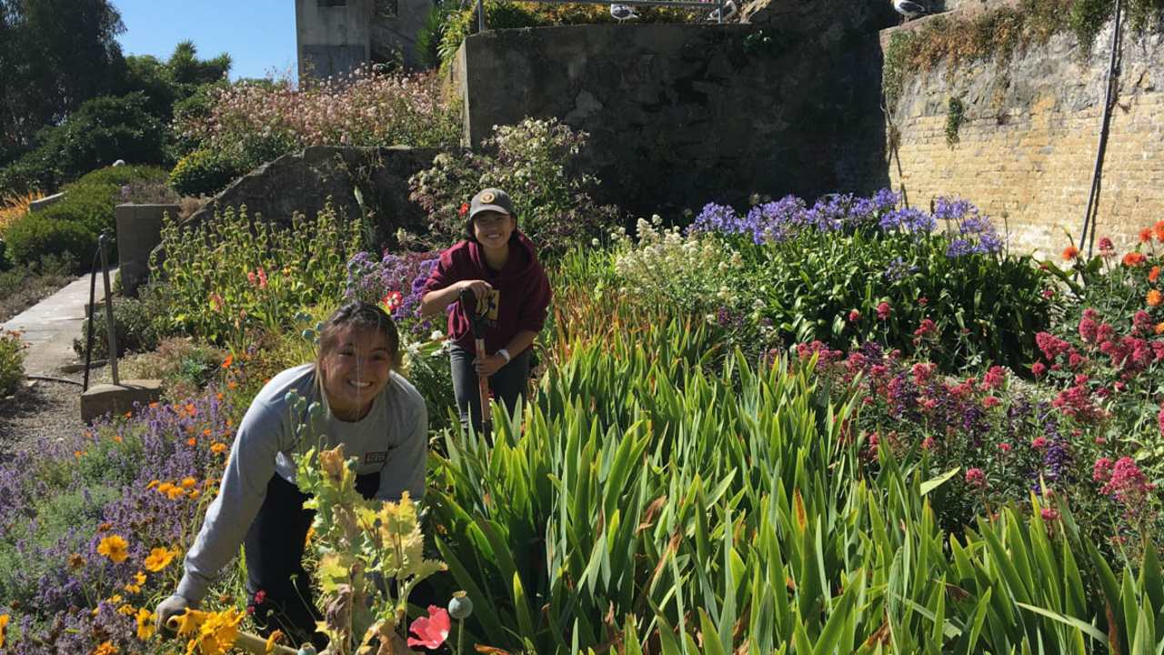 Alcatraz Historic Gardens Volunteers