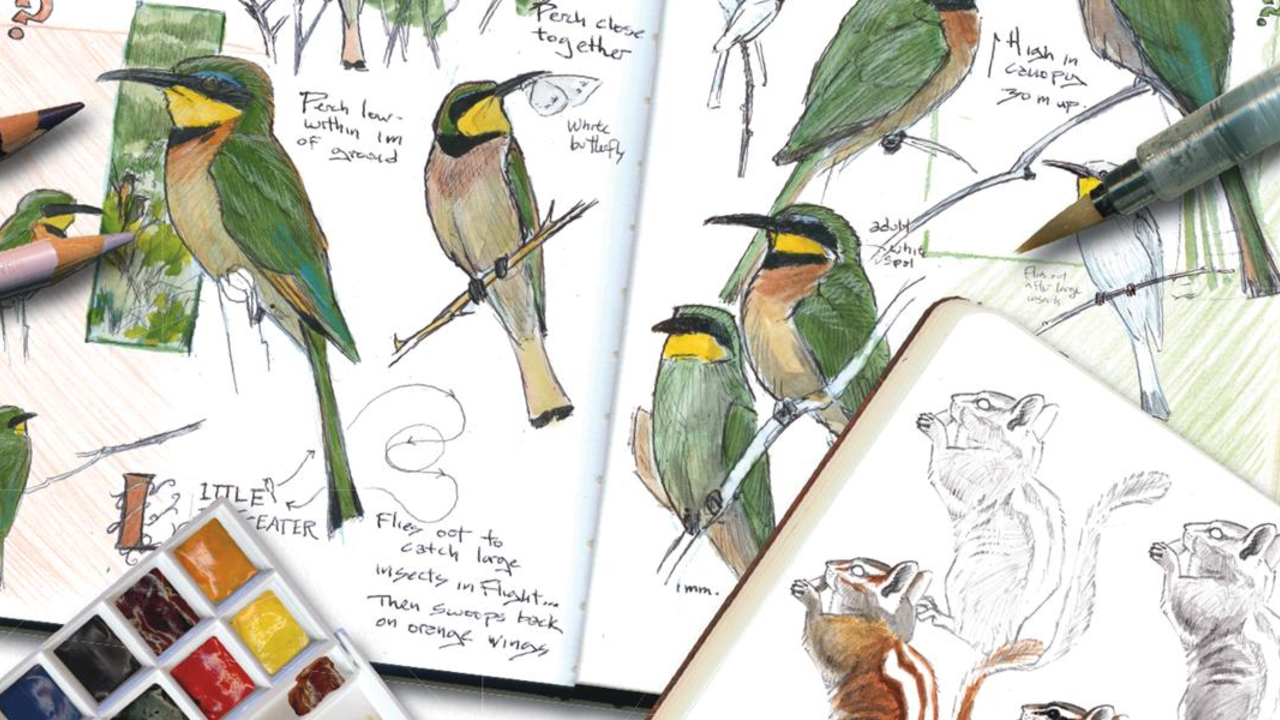 John Muir Laws' Nature Journal Club Nature Journal Club