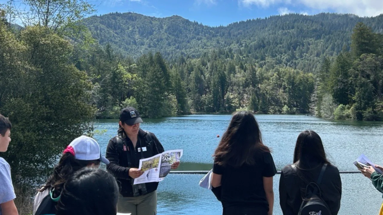 Visitors enjoy a sunny day at Lake Lagunitas.